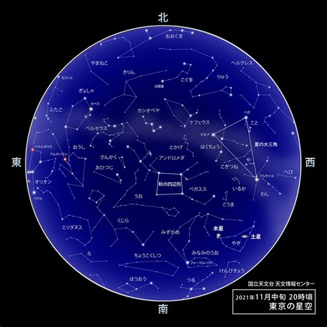 11月25日 星座|11月25日生日书（射手座）